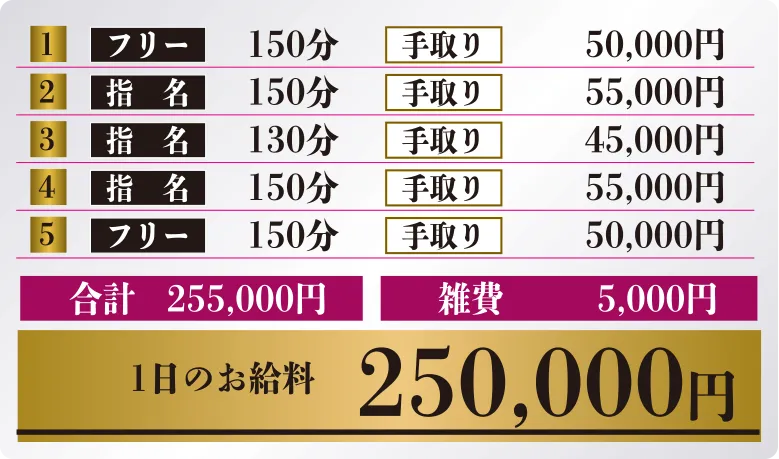 手取り合計255,000円 雑費5,000円 1日のお給料250,000円